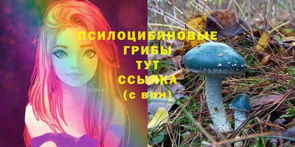 2c-b Каменка
