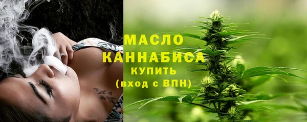 2c-b Каменка
